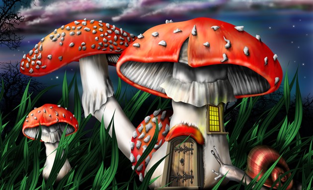 cs psilocybin magic mushrooms 9449671