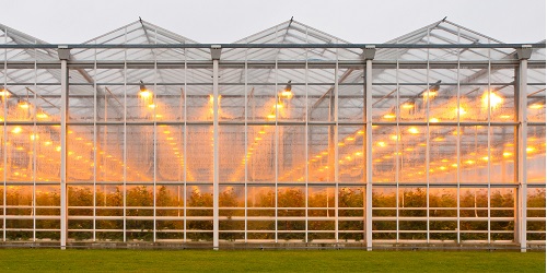 cs polycarbonate greenhouse